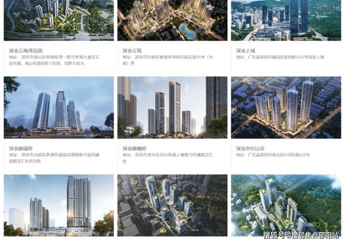 深业世纪山谷 南山核心地标公寓，揭秘城市人居新典范