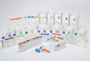 丁二酸酐在深圳网站开发中的创新应用